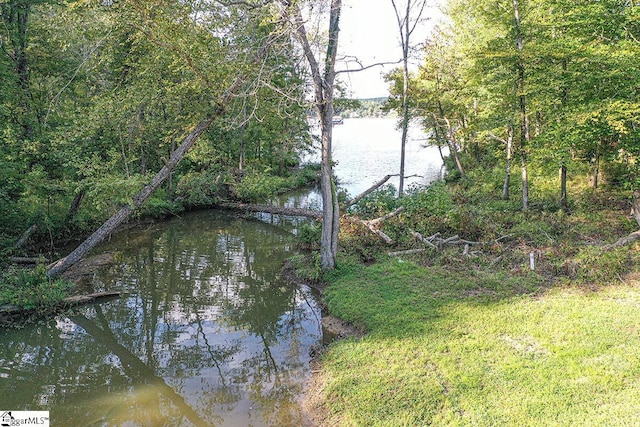 view of water feature