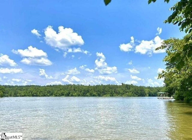 water view with a view of trees
