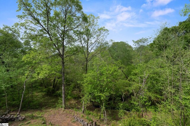 885 Affirmed Dr, Boiling Springs, SC 29316 - view of local wilderness featuring a forest view