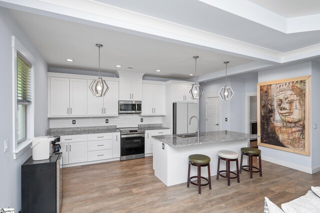 885 Affirmed Dr, Boiling Springs, SC 29316 - kitchen with a sink, an island with sink, stainless steel appliances, light wood finished floors, and light stone countertops