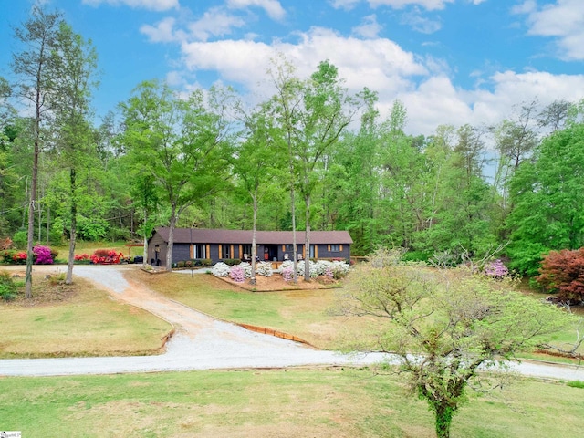 409 Freeman Bridge Rd, Marietta, SC 29661 - view of front of home with driveway, a front yard, and a view of trees