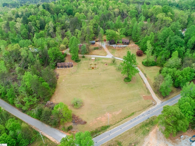 409 Freeman Bridge Rd, Marietta, SC 29661 - overview of rural landscape with a forest