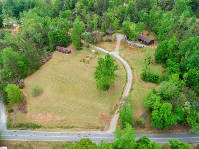 409 Freeman Bridge Rd, Marietta, SC 29661 - bird's eye view