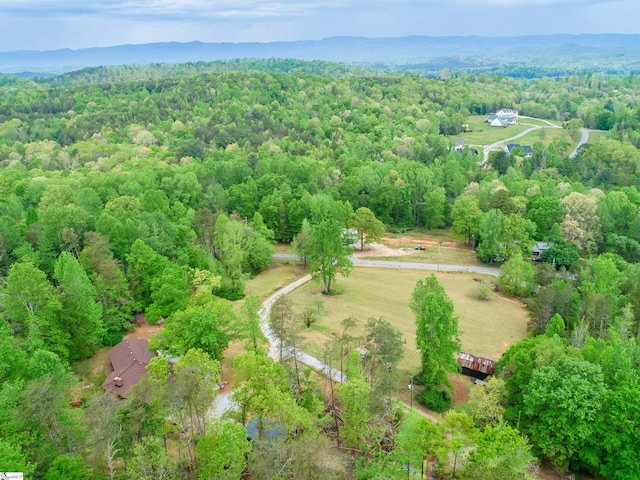 409 Freeman Bridge Rd, Marietta, SC 29661 - bird's eye view of a heavily wooded area