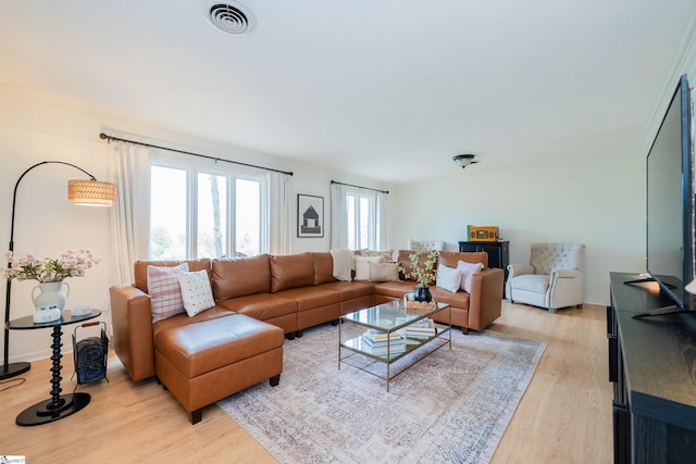 409 Freeman Bridge Rd, Marietta, SC 29661 - living area featuring light wood finished floors