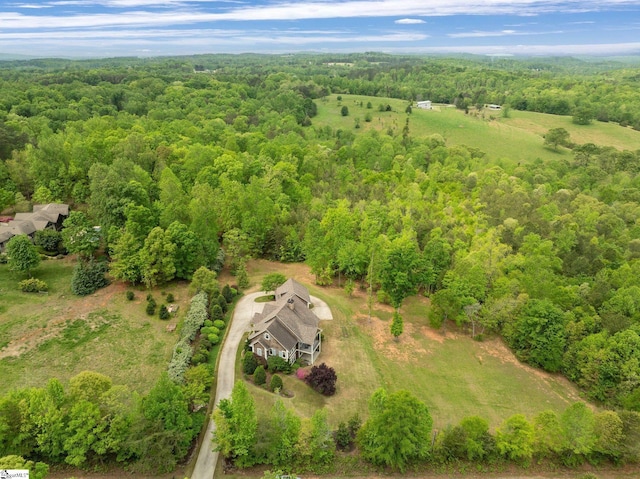 295 Chastain Hill Rd, Taylors, SC 29687 - bird's eye view with a view of trees