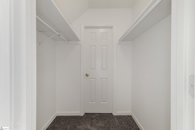 walk in closet with dark carpet