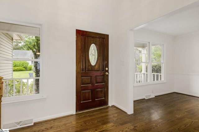 entrance foyer with dark wood finished floors, visible vents, and a wealth of natural light