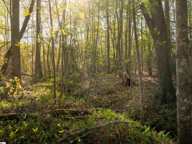 02 Hood Rd Lot 2, Easley, SC 29640