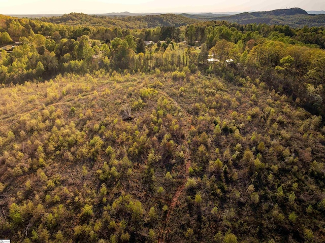 02 Hood Rd Lot 2, Easley, SC 29640
