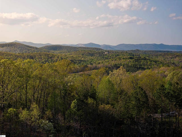 02 Hood Rd Lot 2, Easley, SC 29640