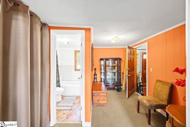 hallway featuring crown molding and carpet flooring