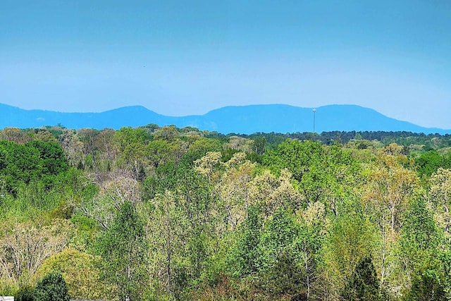 view of mountain feature featuring a view of trees