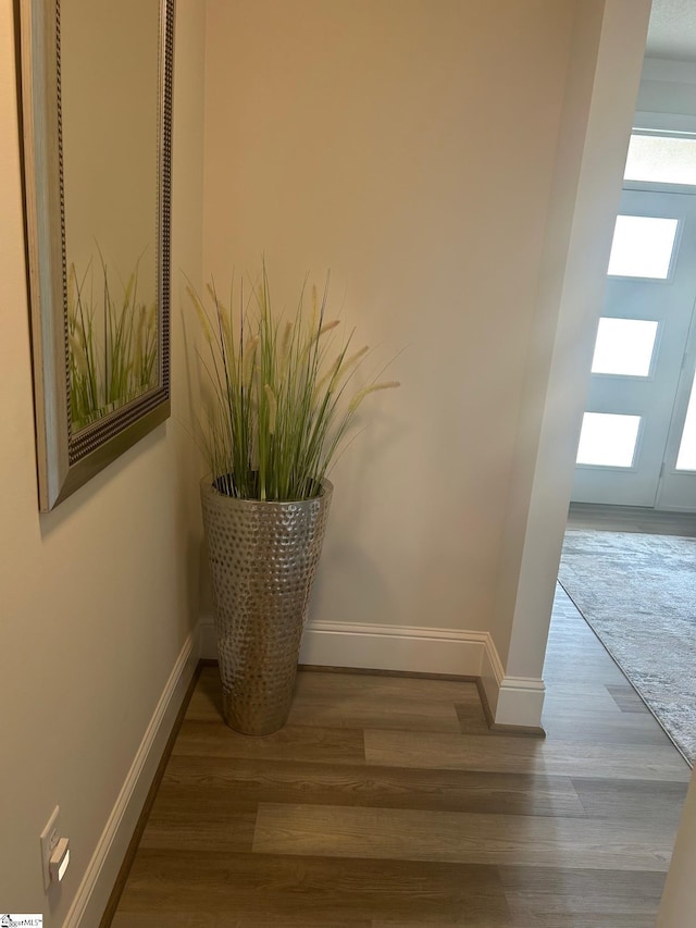 room details featuring wood finished floors and baseboards