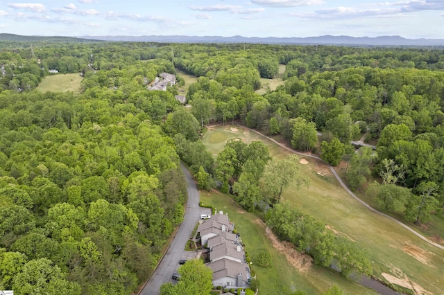 2 Graystone Way, Taylors, SC 29687 - birds eye view of property with a wooded view