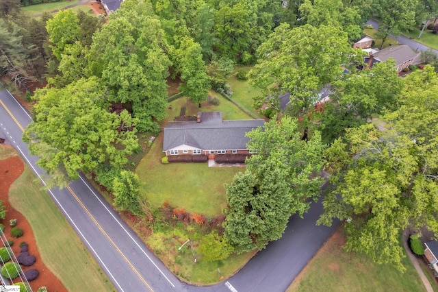 drone / aerial view