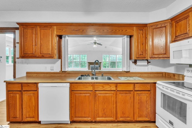 kitchen with white appliances, light countertops, brown cabinets, a sink, and a ceiling fan