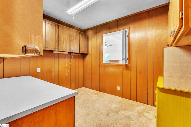 laundry room with wood walls and carpet floors