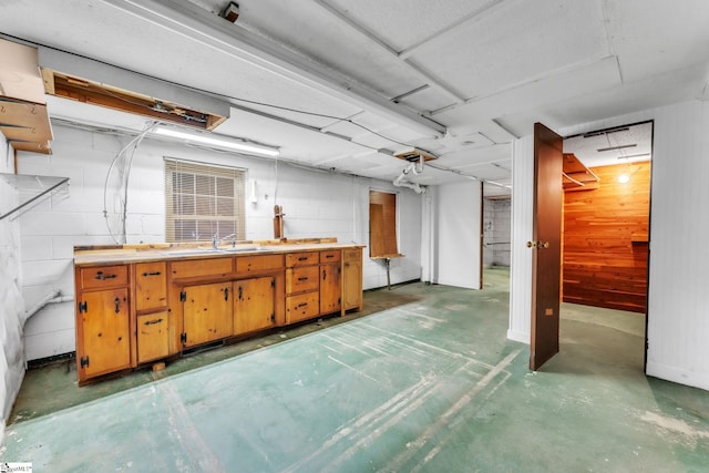 unfinished basement with wood walls, concrete block wall, and a sink