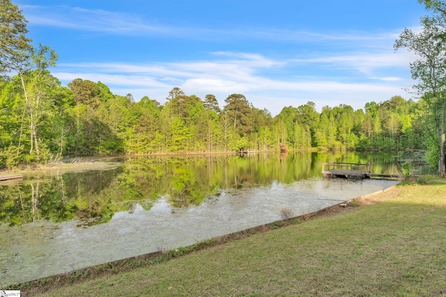 water view with a wooded view