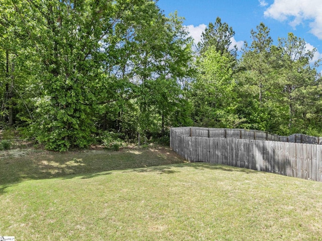 1087 Summerlin Trl, Duncan, SC 29334 - view of yard