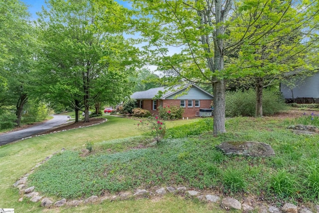 view of front of house featuring a front yard and brick siding