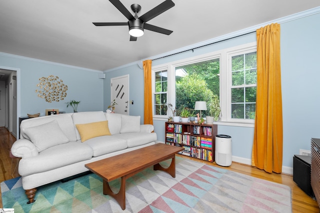 living area featuring light wood-style floors, a ceiling fan, and ornamental molding