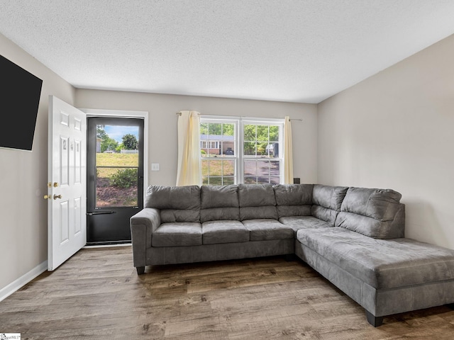 living area featuring a textured ceiling and wood finished floors