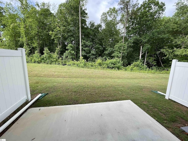 view of yard featuring a patio