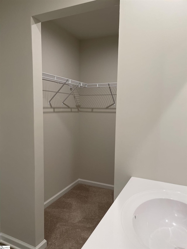 walk in closet featuring carpet flooring and a sink