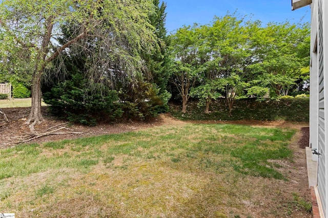 view of yard