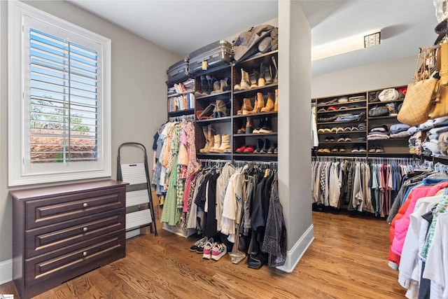 walk in closet featuring wood finished floors