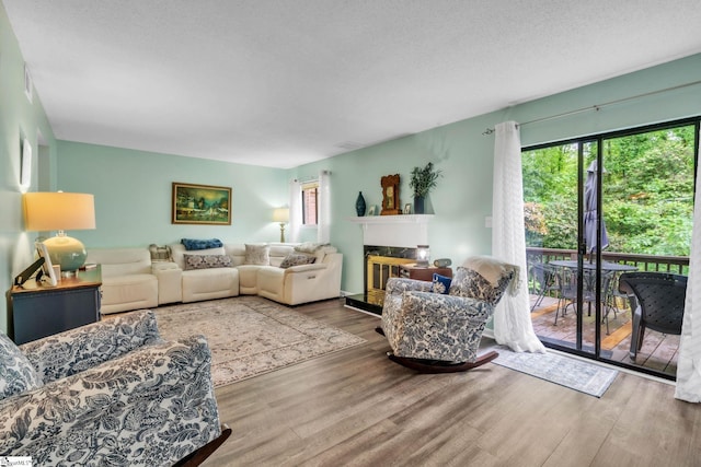 living room featuring wood finished floors and a fireplace
