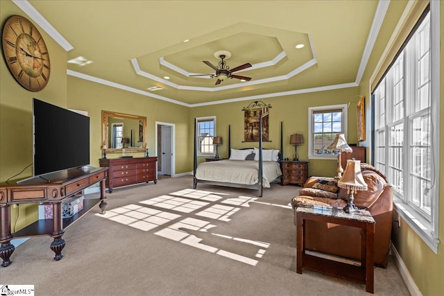 bedroom featuring carpet, a raised ceiling, and multiple windows