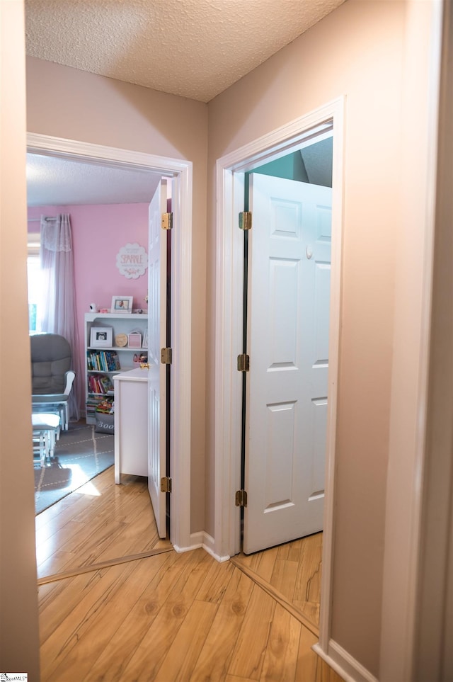 104 Fairview Lake Way, Simpsonville, SC 29680 - corridor featuring a textured ceiling and light wood-style floors