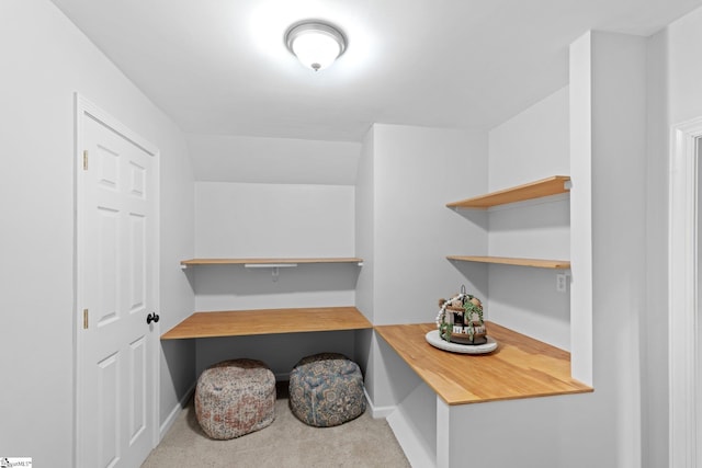 interior space with carpet flooring