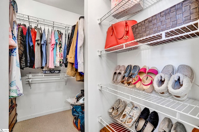 1230 Melton Rd Unit 104, West Union, SC 29696 - walk in closet with carpet floors