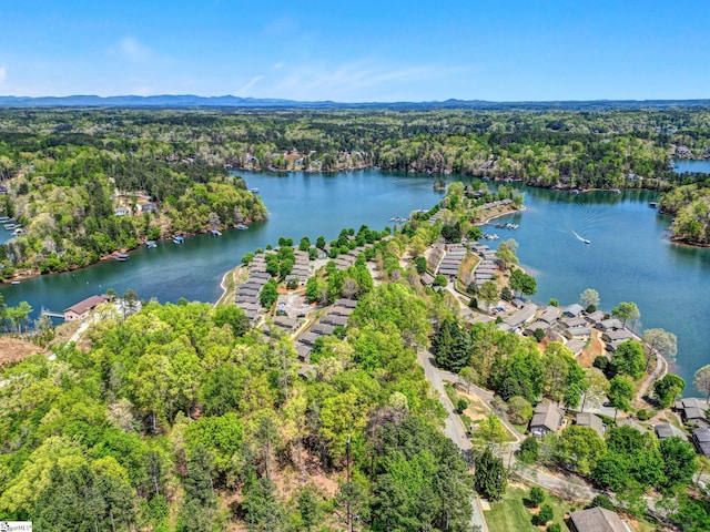 1230 Melton Rd Unit 104, West Union, SC 29696 - birds eye view of property with a water view and a forest view