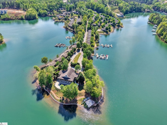 1230 Melton Rd Unit 104, West Union, SC 29696 - bird's eye view with a water view and a view of trees