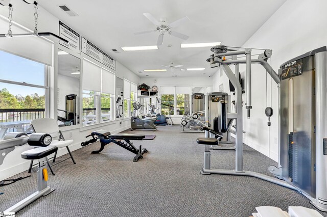 1230 Melton Rd Unit 104, West Union, SC 29696 - workout area with a ceiling fan, visible vents, and baseboards