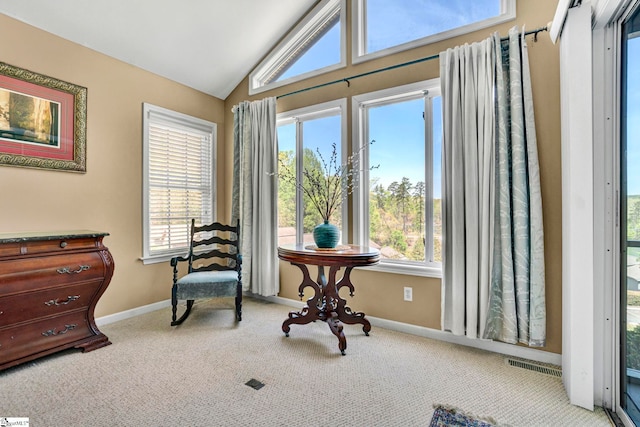 1230 Melton Rd Unit 104, West Union, SC 29696 - sitting room with baseboards, visible vents, carpet floors, and lofted ceiling