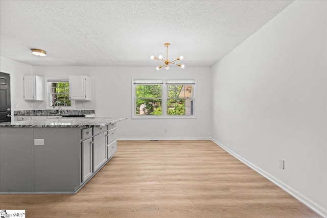 118 Rodney St, Moore, SC 29369 - kitchen with light wood-type flooring, a textured ceiling, and plenty of natural light