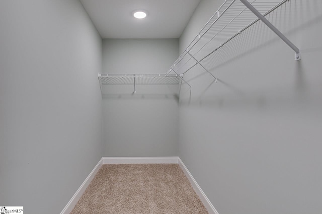 104 Pawleys Ct, Anderson, SC 29625 - spacious closet featuring carpet