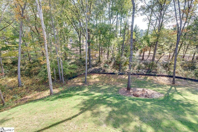 104 Pawleys Ct, Anderson, SC 29625 - view of yard