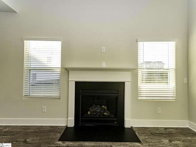 room details featuring baseboards, wood finished floors, and a glass covered fireplace