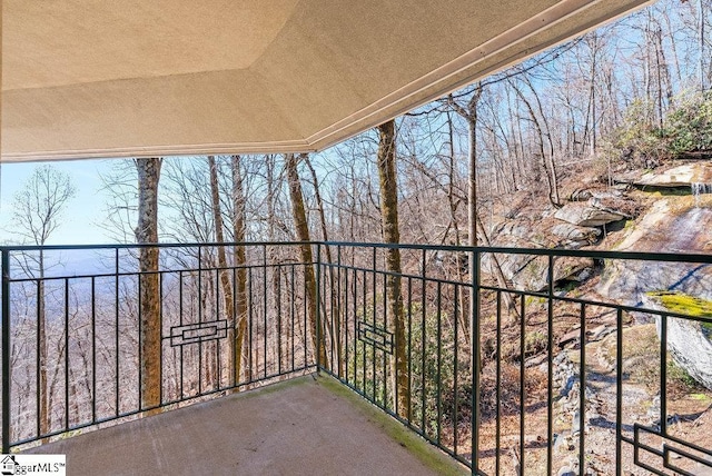 400 Stony Rd, Landrum, SC 29356 - view of balcony