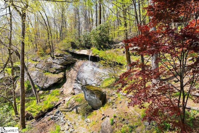 400 Stony Rd, Landrum, SC 29356 - view of local wilderness with a view of trees