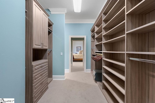 400 Stony Rd, Landrum, SC 29356 - walk in closet featuring light colored carpet