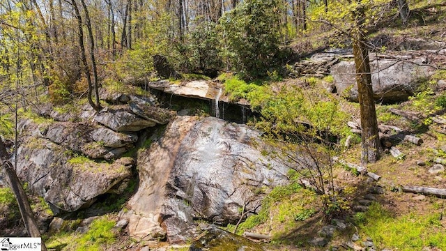 400 Stony Rd, Landrum, SC 29356 - view of nature