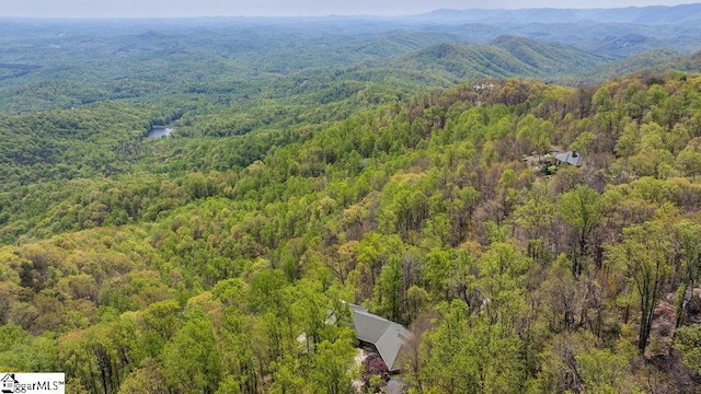 400 Stony Rd, Landrum, SC 29356 - drone / aerial view featuring a mountain view and a forest view